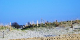 Quartier Hohe Geest 8
